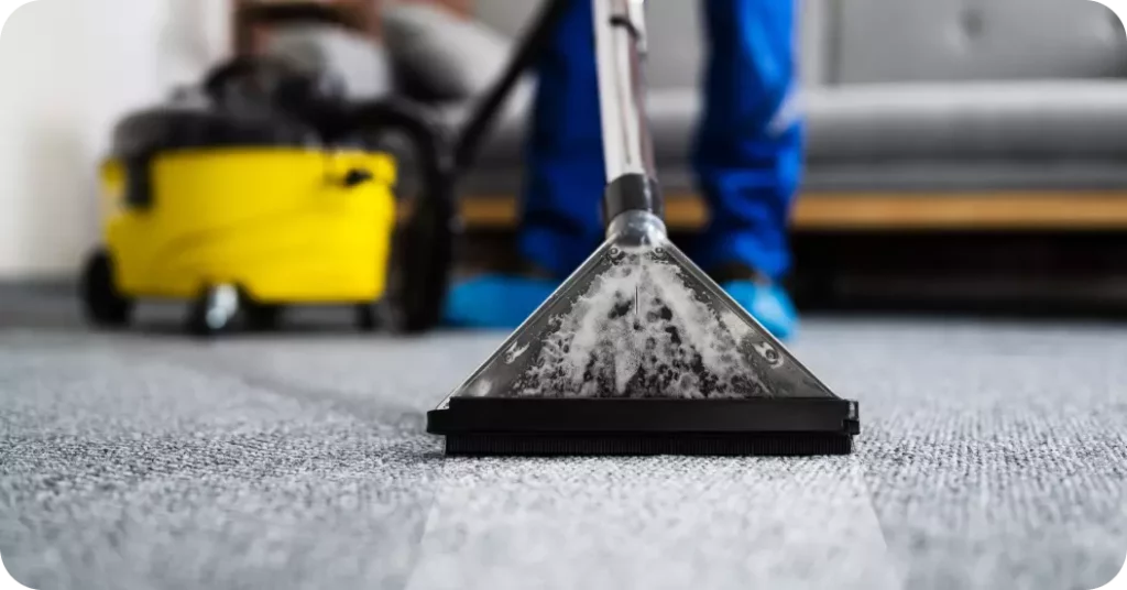 Carpet Cleaners Gold Coast Carpet Cleaning Company Near Me PHJ Services